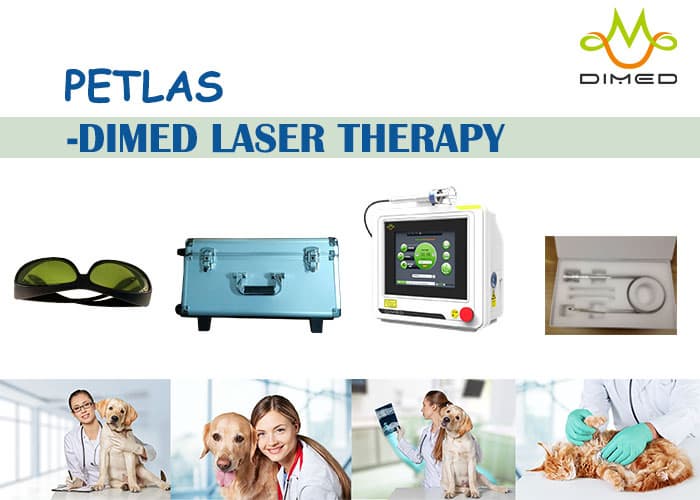 PETLAS Laser Therapy_ The Absolute Leader